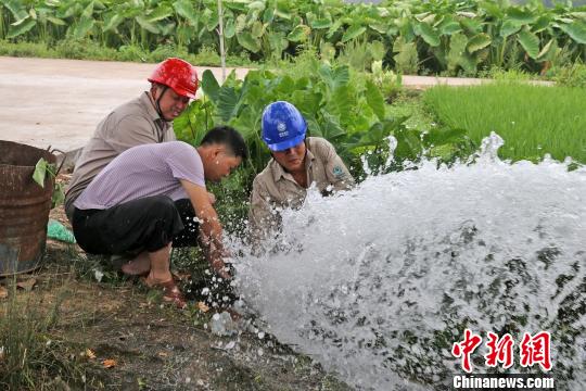 机构设置 第74页