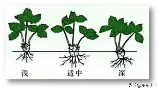 机构设置 第58页