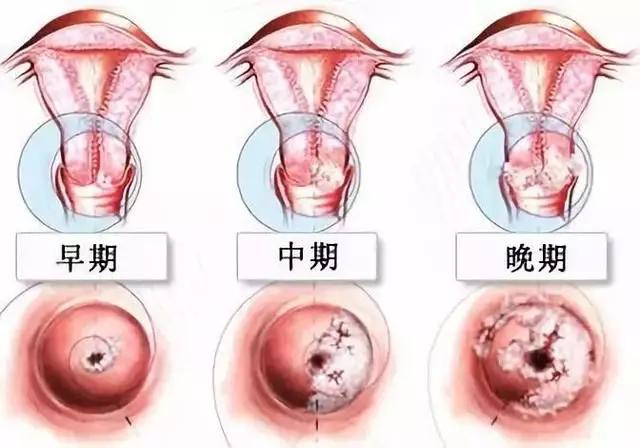 学校简介 第24页