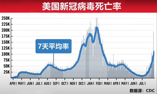 美国新冠疫情最早评论，观察、反思与启示的洞察