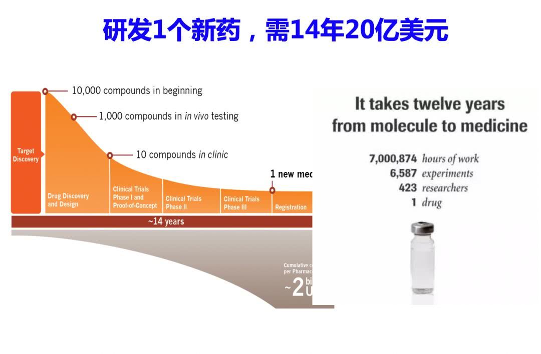 2025年3月17日 第15页